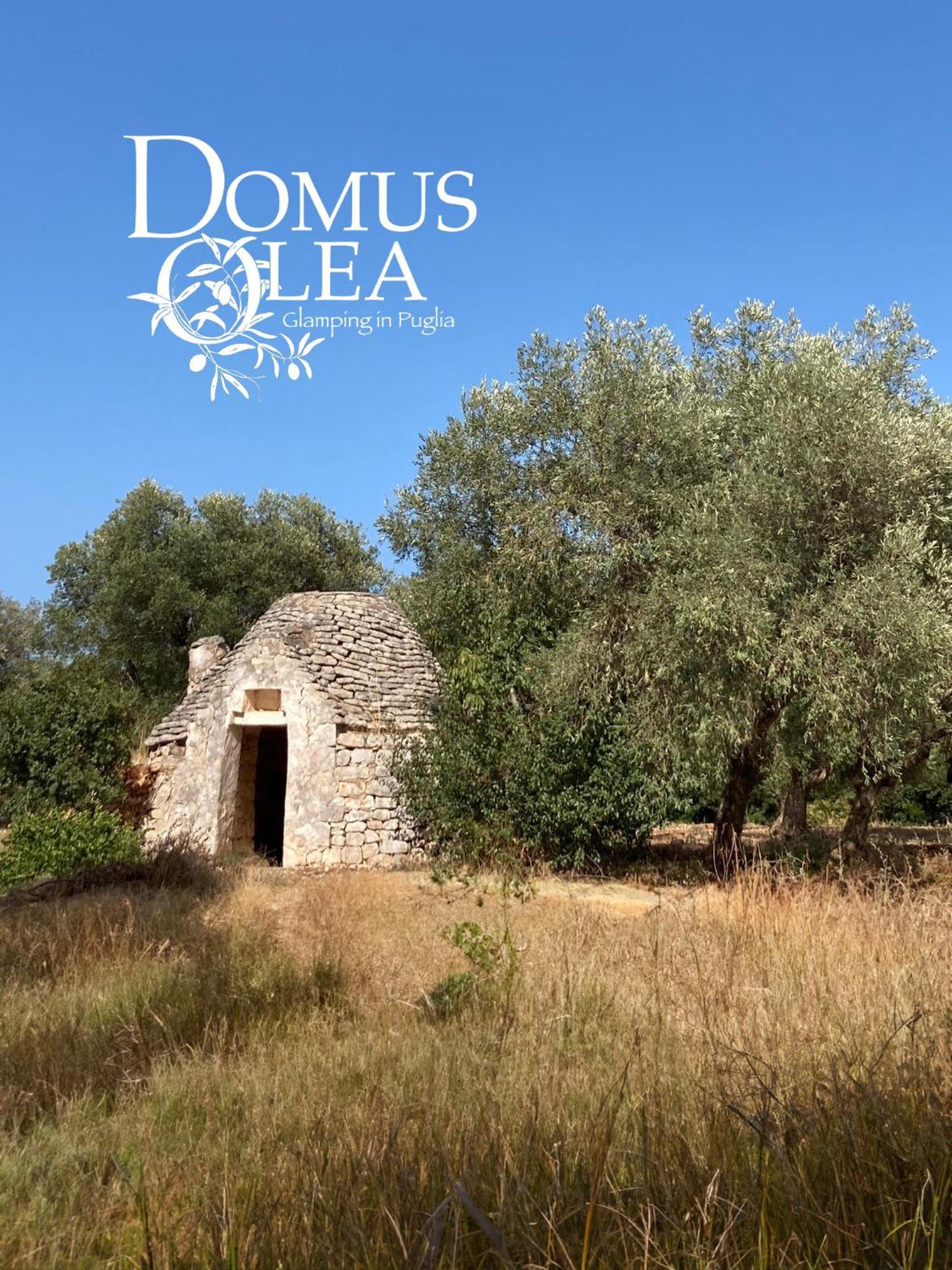 Domus Olea Glamping Hotel Ceglie Messapica Exterior photo