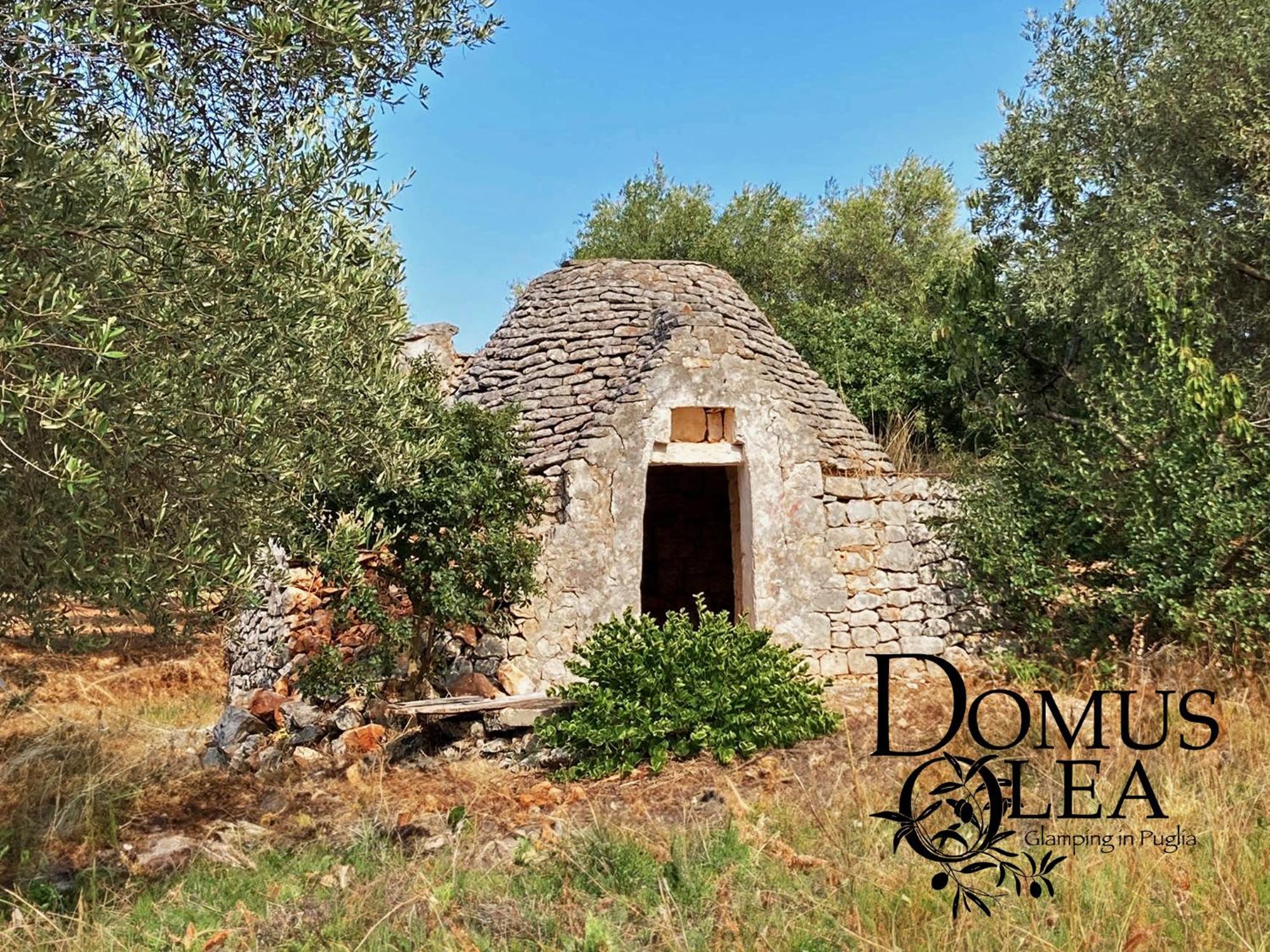 Domus Olea Glamping Hotel Ceglie Messapica Exterior photo